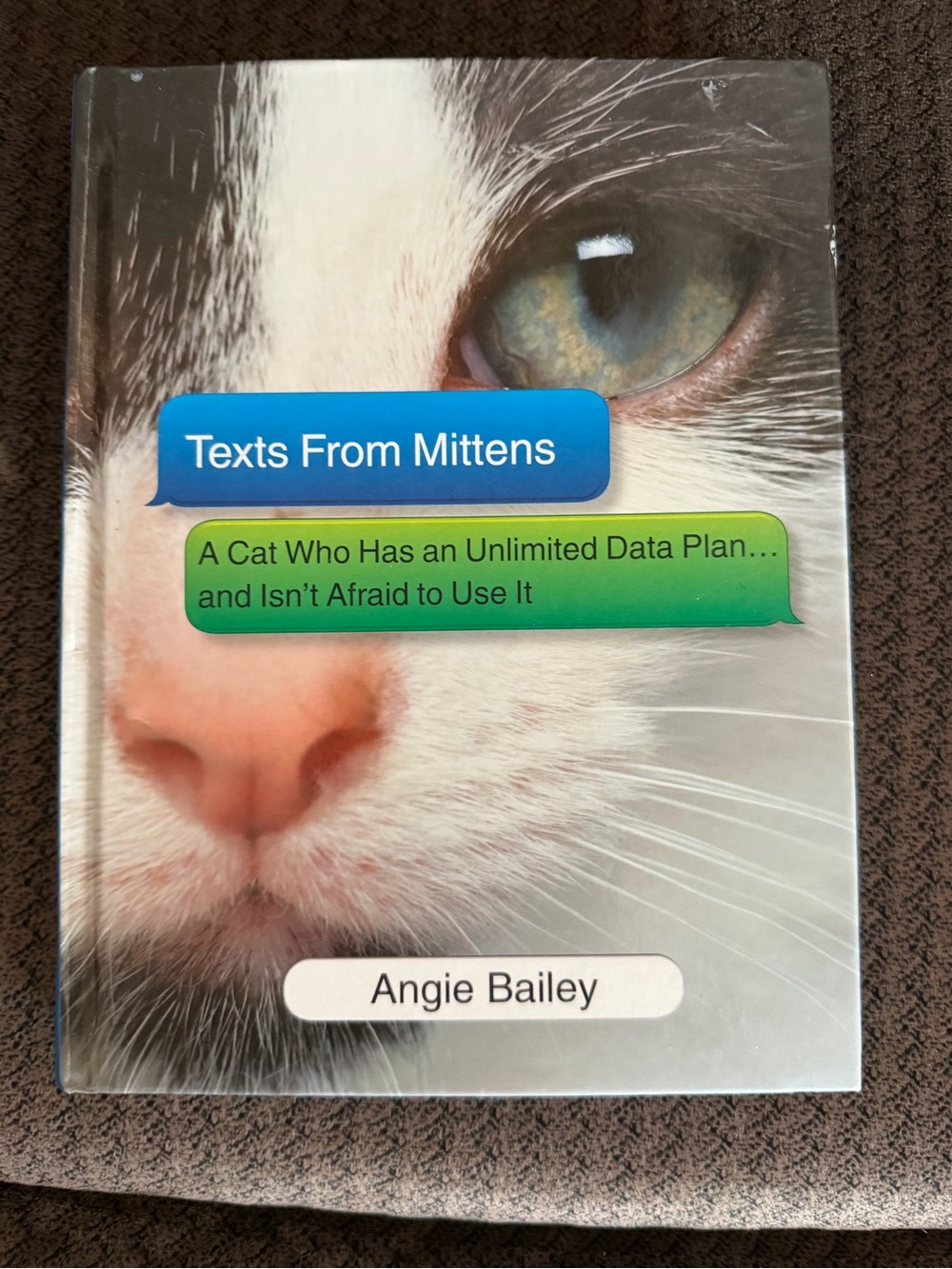 Texts From Mittens Cat Book - White and Pink Cover